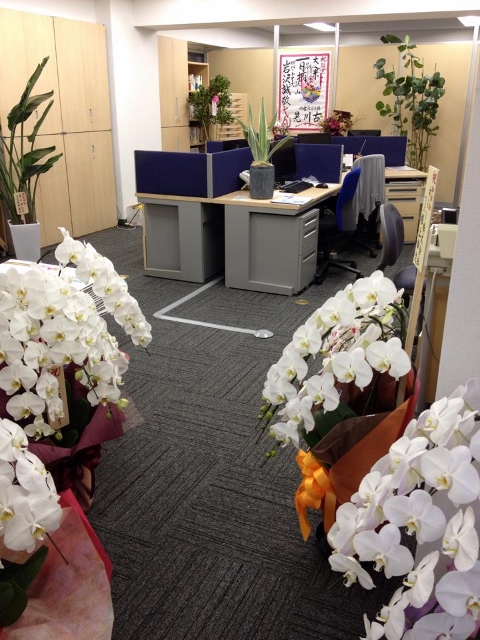 newoffice121027 (480x640).jpg